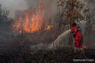 68 Titik Panas Terdeteksi di Riau, Rohil dan Meranti Paling Banyak