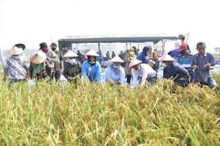 NTP Riau Naik 4,52 Persen di November 2024, Dorong Daya Beli Petani