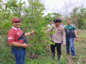 Dukungan Polsek Ukui untuk Ketahanan Pangan, Sinergi Bersama Pemerintah Desa