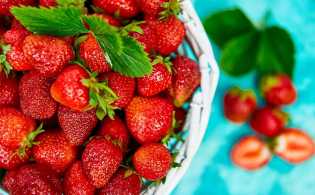 Berikut 4 Makanan yang Kaya Serat, Bisa Bikin Kenyang Lebih Lama