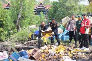Bea Cukai Bengkalis Musnahkan 25,9 Ton Mangga Ilegal Asal Malaysia