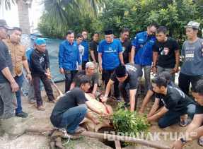 Berkurban Demi Rakyat, DPD Demokrat Riau Sembelih 3 Ekor Sapi