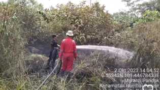 BPBD Pekanbaru Padamkan Kebakaran Lahan di 5 Lokasi