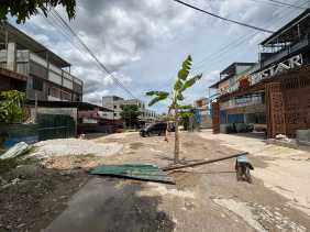 Puluhan Tahun Rusak Tak Diperbaiki, Jalan di Pekanbaru Ditanami Pohon Pisang oleh Warga