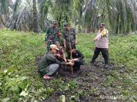 BBKSDA Riau Beberkan Perkembangan Dugaan Keberadaan Harimau Sumatera di Siak