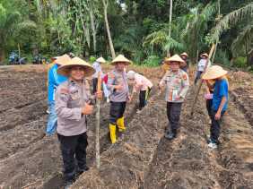 Dukung Program Ketahanan Pangan Nasional di Rohil, Polsek TPTM dan Masyarakat Tanam Jagung