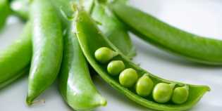 Kacang Kapri, Si Kecil yang Punya Segudang Manfaat Bagi Tubuh