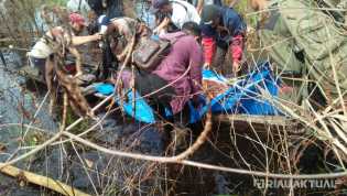 Pamit ke Ladang, Petani di Bengkalis Ditemukan Tewas Diterkam Harimau