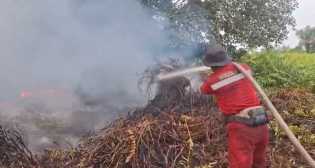 Riau Resmi Tanggap Darurat Karhutla, Kebakaran Lahan Meluas