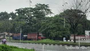 BMKG: Riau Berpotensi Hujan Lebat Disertai Petir pada Siang hingga Malam Hari