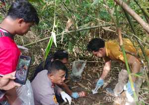 Penemuan Tengkorak Manusia di Kebun Sawit Gegerkan Warga Inhu