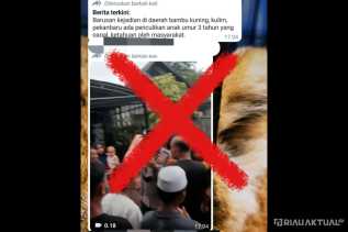 Beredar Video Penculikan Anak di Kulim, Polisi: Tidak Benar