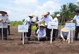 Wabup Misharti Dampingi WamendesPDTT Resmikan Demplot Ketahanan Pangan Nasional di Kampar