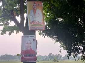 Larang Pasang Poster Caleg di Pohon, Satpol PP Ancam Tertibkan