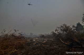 853 Titik Panas Tersebar di Sumatera, Riau Sumbang 33 Titik