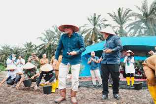 PTPN IV PalmCo Perluas Program Tampan di Kampar, Dorong Ketahanan Pangan Nasional