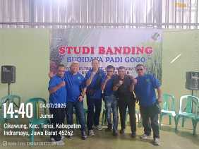 100 Petani Sawit Siak Belajar Budidaya Padi Gogo ke Indramayu