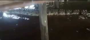 Buaya Muncul di Sungai Siak, BBKSDA Riau Minta Masyarakat Tidak Anarkis