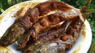 Ingat, Jangan Dikonsumsi Berlebihan, 2 Ikan Ini Mengandung Kolesterol Tinggi