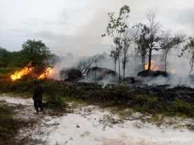 Masuk Musim Kemarau, Karhutla Sudah Terjadi di 4 Daerah di Riau