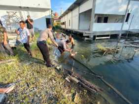 Tiga Bocah di Rohul Ditemukan Tewas di Rawa