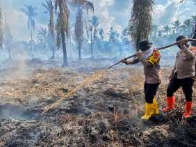 Dua Hektare Lahan Terbakar di Inhil, AKBP Budi Turun Padamkan Karlahut di Kecamatan Kempas
