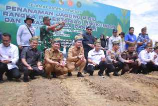 Bersama Gubri dan Kapolda, Wako Pekanbaru Tanam Bibit Pohon dan Jagung di 11 Hektare Lahan