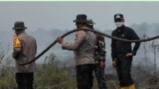 20 Hektar Lahan di Rohil Terbakar, Kapolres dan Forkopimda Upayakan Pemadaman