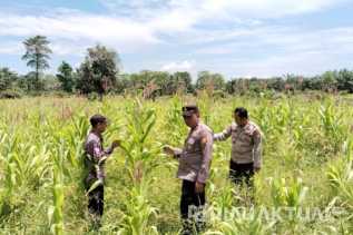 Polsek TPTM Pantau Program Ketahanan Pangan, Kapolsek Tinjau Langsung Kondisi Lahan
