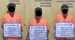 Satuan Reskrim Polres Bengkalis Tangkap Tiga Pelaku Ilegal Logging di Desa Langkat