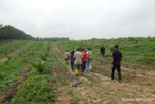 Rekomtek PSR untuk 2.721 Hektare Kebun Sawit di Riau Terbit, 1.522 Hektare Masih Tahap Verifikasi