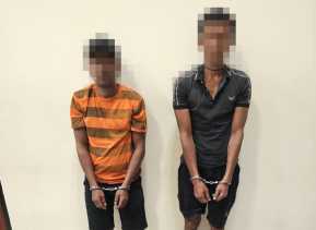 Polda Riau Tangkap Pelaku Perambahan Taman Nasional Tesso Nilo