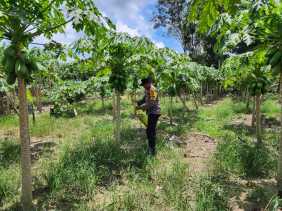 Dukung Asta Cita, Polsek Bangko Pusako Lakukan Pembinaan Ketahanan Pangan
