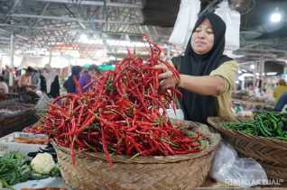 Pemprov Riau Datangkan Cabai Merah dari Pulau Jawa