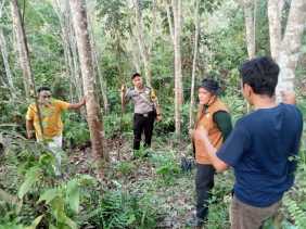 Petani Karet Diterkam Beruang, Tangan Patah Tubuh Luka-luka