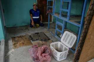 Berkedok Penampungan Satwa, Puluhan Kucing Ditemukan Terlantar di Rumah Warga