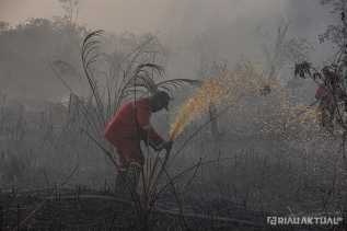 222 Titik Panas Terdeteksi di Riau, Rohil Terparah