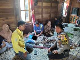 Bocah 11 Tahun Tewas Diterkam Buaya Saat Mandi di Sungai di Inhil