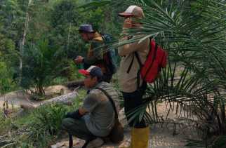 Beruang Belum Terlacak, Tim BKSDA Pertimbangkan Opsi Perangkap