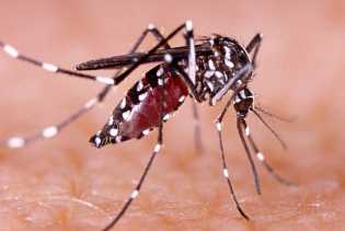 Kasus DBD di Riau Meningkat, Gerakan 3M Plus Cara Ampuh Pencegahan