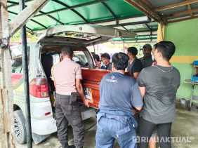 Petani Sawit di Siak Tewas Diinjak Gajah Liar 