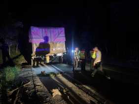 Fakta Kecelakaan Polisi Tewas di Pelalawan, Truk Parkir Tanpa Tanda Peringatan