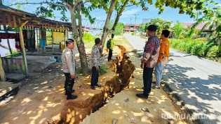 Abrasi Sungai Rokan Ancam Jalan dan Rumah Warga, Polsek Rimba Melintang Lakukan Antisipasi