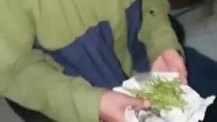 Pria Ini Lapor Polisi Gara-gara Ketipu Beli Ganja, Ini Tanggapan Kasat Narkoba Palembang