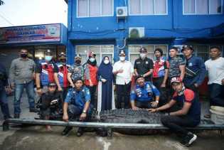 Damkar Inhil Evakuasi Buaya Yang Serang Warga di Sungai Piyai