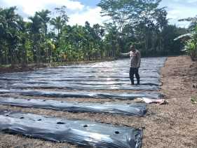 Polsek TPTM Lakukan Pendataan Ketahanan Pangan Keluarga Bergizi di Kepenghuluan Mesah