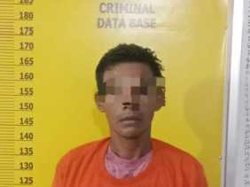 Polsek Kuantan Mudik Tangkap Pencuri Sawit Milik KUD