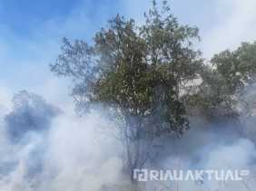36 Titik Panas Terdeteksi di Riau, BPBD Kerahkan Tim dan 4 Helikopter Water Bombing