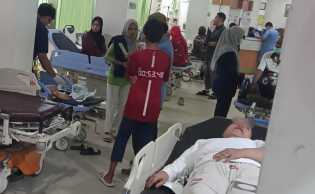 Dinkes Tangani 9 Korban Gigitan Anjing Liar di Tenayan Raya