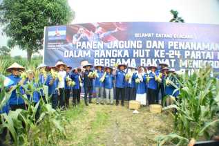 Demokrat Riau Rayakan HUT ke-24 dengan Panen Jagung dan Doa untuk SBY